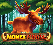 Money Moose